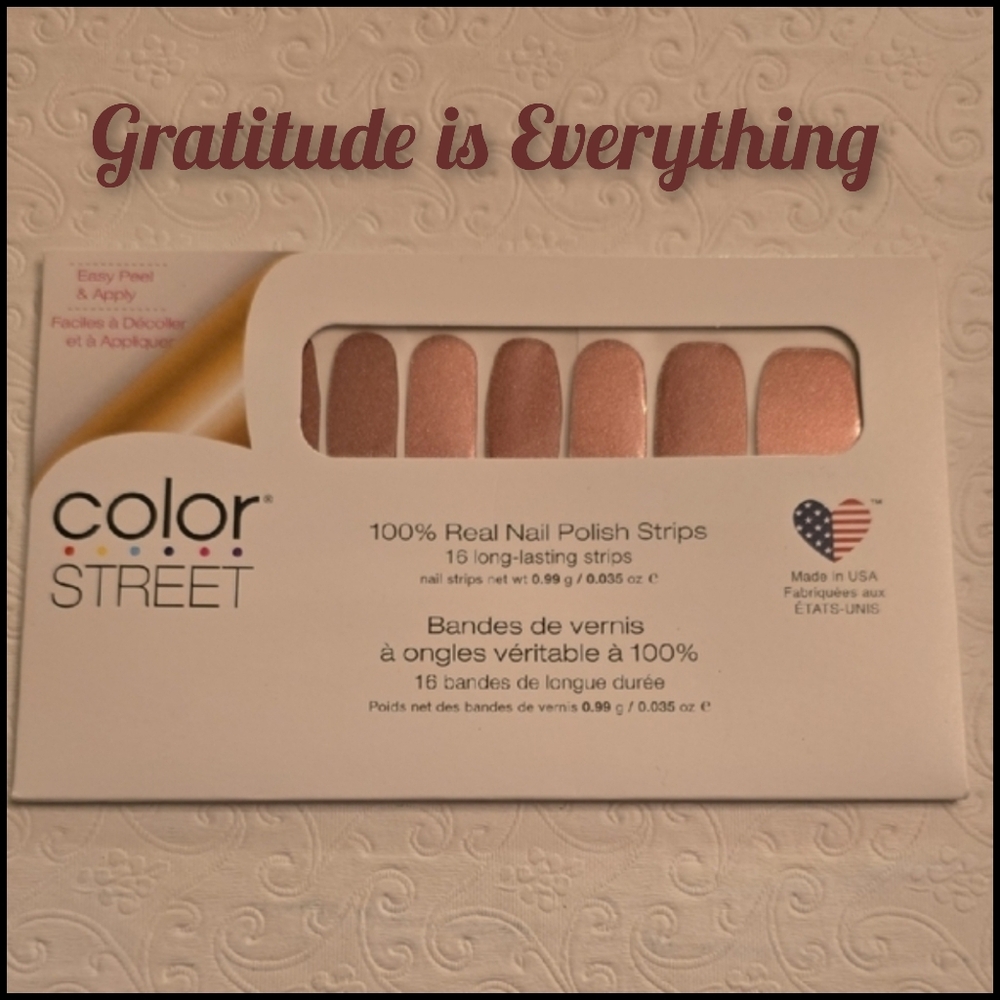 Color Street Retired "Gratitude is Everything" Thanksgiving Nail Strips - NWT